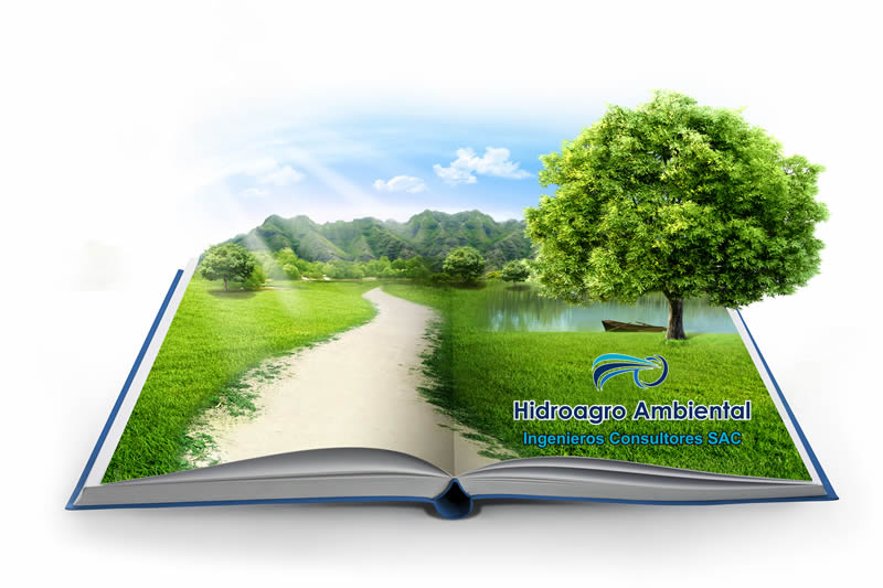hidroagro ambiental peru